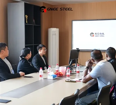 Fáilte Chustaiméirí na hÉigipte Chuig GNEE STEEL